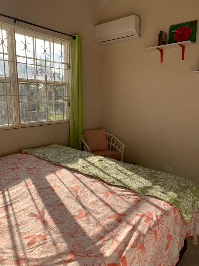 Raivens Nest Bed And Breakfast Christ Church Extérieur photo