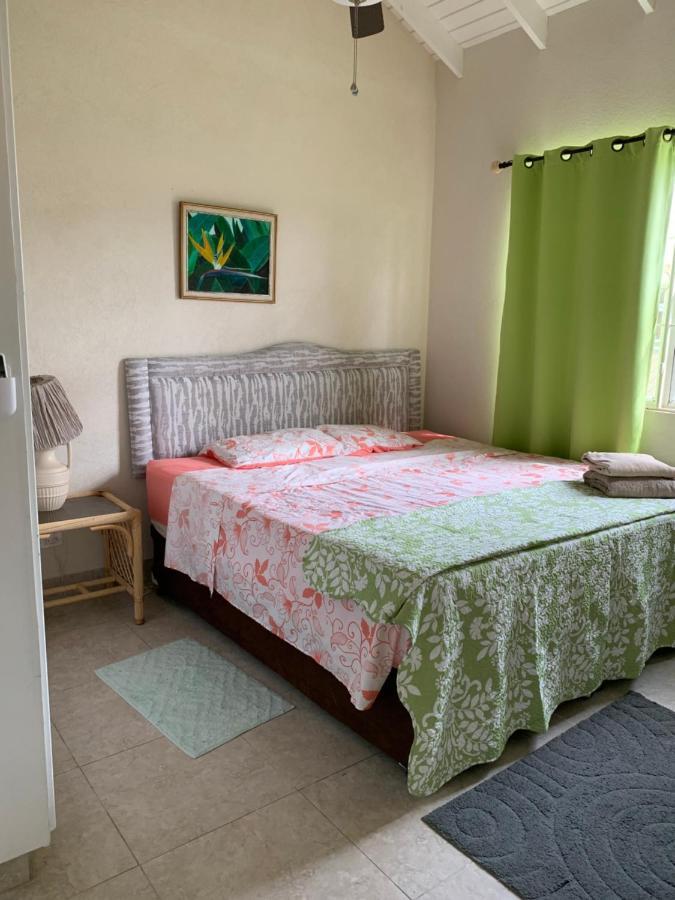 Raivens Nest Bed And Breakfast Christ Church Extérieur photo